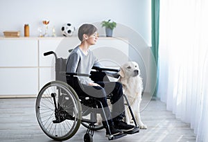 Human animal friendship concept. Handicapped teen boy in wheelchair stroking his dog, looking out window at home