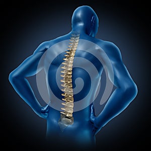 Human back spine posture