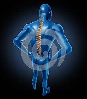 Human back spine posture