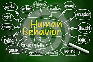 Human behavior mind map written on chalkboard