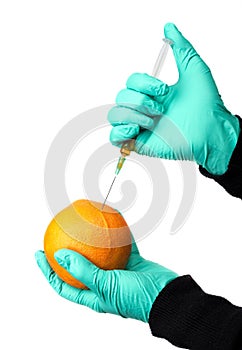 Human being injected chemicals into ripe orange, pesticides and fertilizers and chemicals with a syringe