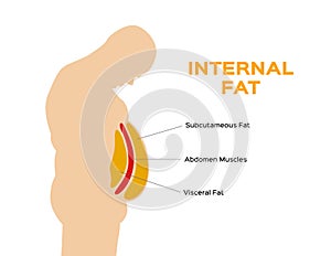 Human belly and abdomen fat layer / subcutaneous and visceral fat