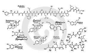 Human big set hormone concept chemical skeletal formula icon label, text font vector illustration, isolated on white. Periodic