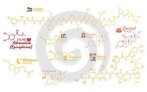 Human big set hormone concept chemical skeletal formula icon label, text font vector illustration, isolated on white. Periodic