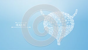 Human bladder. Design element for medical concept, bladder cancer, cystitis, human excretory system. Wireframe low poly