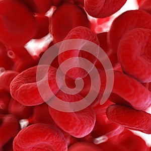 Human blood cells
