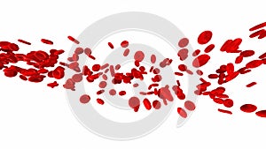 Human blood cells