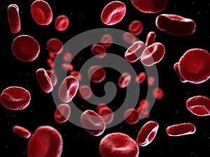 human blood cells