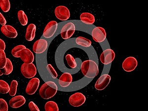 Human blood cells