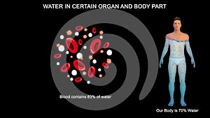 Human Blood Contains 83 percent of water