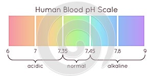 Human blood pH scale vector diagram