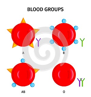 Blood Type Groups Symbols