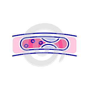 Human blood vessel color line icon. Isolated vector element. Outline pictogram for web page, mobile app, promo