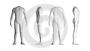 Human bodies with no head. Model on white background. Artificial