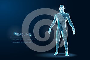 Human Body 3D Polygonal Wireframe Blueprint. Vector Illustration