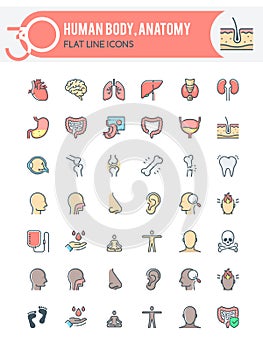 Human body, anatomy Icons