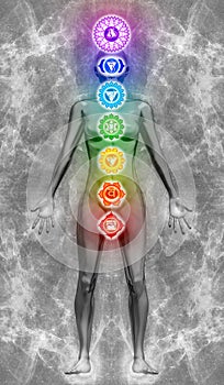 Human body aura with the seven chakras