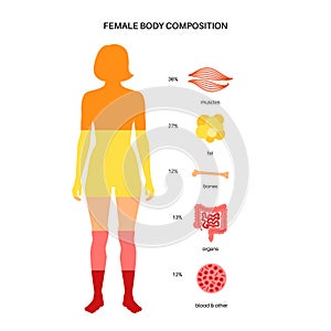 Human body composition photo