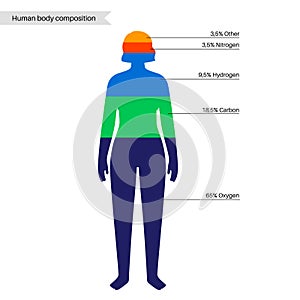 Human body composition