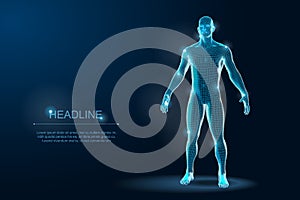 Human Body 3D Polygonal Wireframe Blueprint. Vector Illustration photo