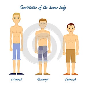 Human Body. Ectomorph. Mesomorph. Endomorph. photo