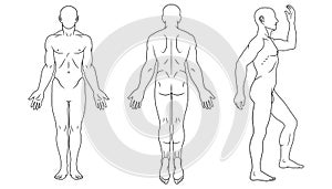 Human body front, back and side views