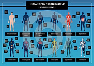 Human Body Infographics