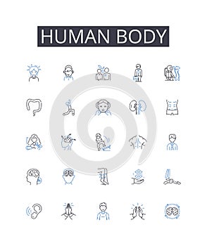 Human body line icons collection. Traditions, Customs, Rituals, Beliefs, Festivals, Ceremonies, Artifacts vector and