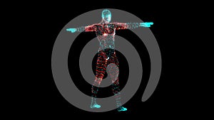 Human body low poly wireframe. Futuristic scan set, human hologram, body x-ray, 3d model in HUD style. Polygonal