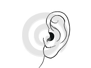 Human body parts full ear Illustration