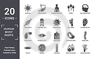 human.body.parts icon set. include creative elements as big cellule, male head side view with brains, blood vessel, human breast,