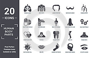 human.body.parts icon set. include creative elements as human lungs, human artery, male nose of a line, human teeth, big lips,