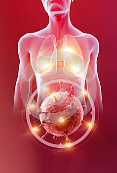 Human body x-ray view of lungs and trachea, coronavirus. Virus that attacks the respiratory organs. Covid-19. 3d render