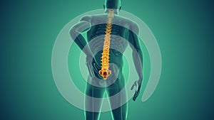 Human body's spinal pain alleviation