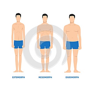 Human body shapes. Male figures types set
