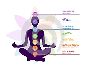 human body silhouette with chakras icons with titles