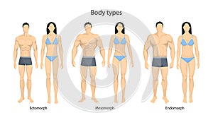 Human body types.