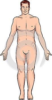 Human body photo