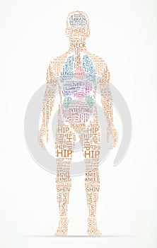 Human body wordcloud