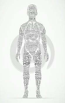 Human body wordcloud