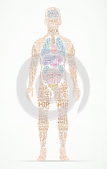Human body wordcloud photo