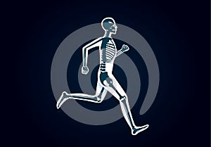 Human Bone Anatomy while run