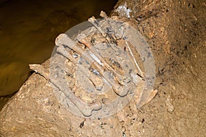 Human bones in Quiocta Cavern near Chachapoyas, Pe