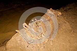 Human bones in Quiocta Cavern near Chachapoyas, Pe