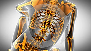 Human bones radiographic scan. medical footage