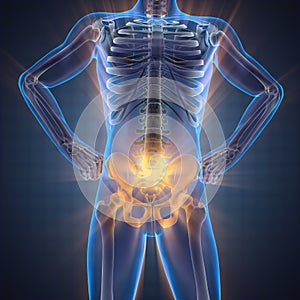 Human bones radiography scan image