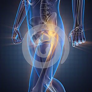 Human bones radiography scan image