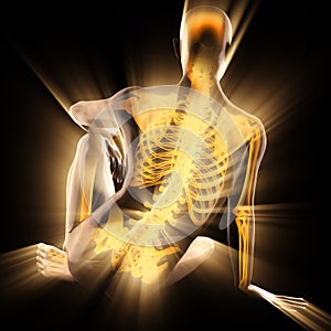 Human bones radiography scan image