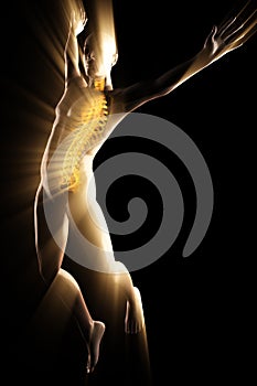 Human bones radiography scan image