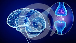 Human brain and Active receptor